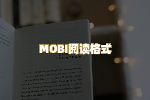 MOBI阅读格式